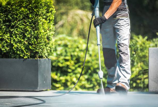 Best Building Exterior Washing  in Maysville, KY